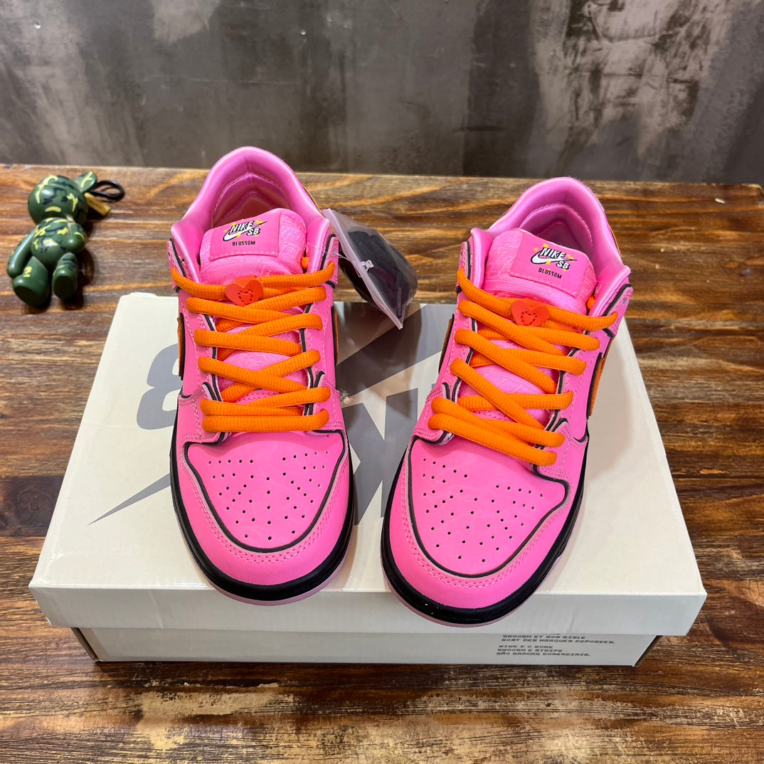 Powerpuff girlsxDunks - Blossom