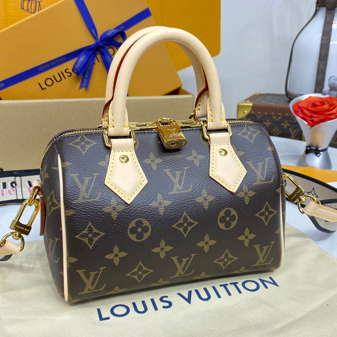 Classic LV Handbag