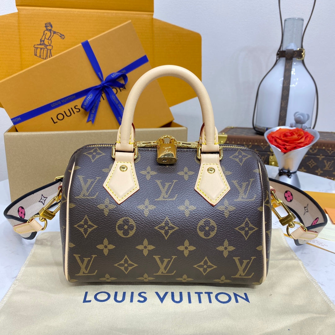 Classic LV Handbag